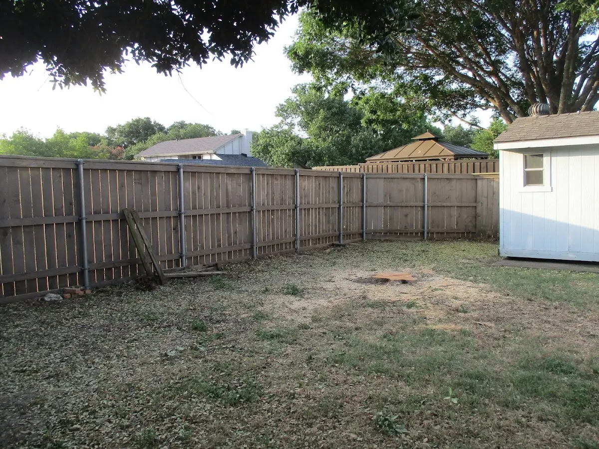 Cleared yard after professional tree removal in Farrell